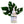 AquaVeil Essence Skin-Plumping Dew Drops Serum