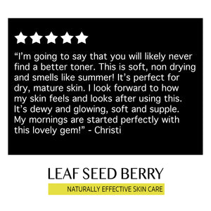 SAMPLE Strawberry Essence Exfoliating Face Toner
